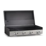 Bosca Block 1000 Built-In Gas Grill - Image 2
