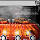 Broil-King-Regal-Grill-w-Flav-R-Wave-Technology
