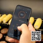 D605_33663e07-5c5d-4bea-a7b2-a9c0ab8374dd