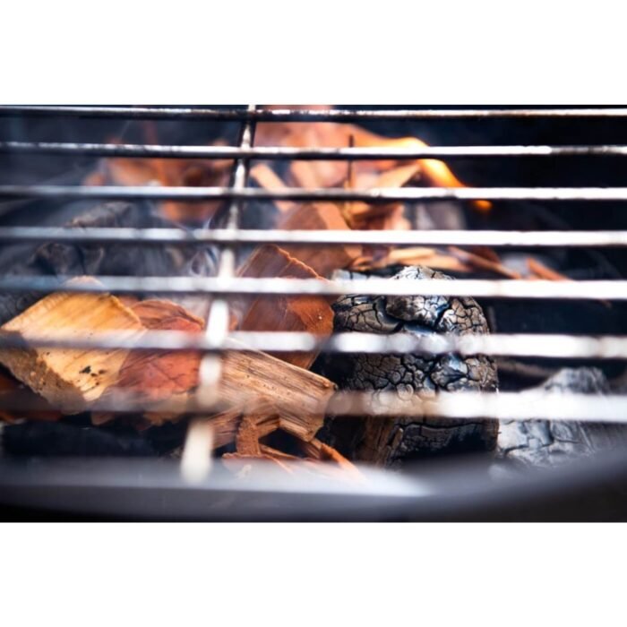 Disenosintitulo_6_58bec123-cdba-48c4-8e5e-0e4e6c0cd5b4