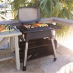 Everdure Force By Heston Blumenthal Freestanding 2-Burner Gas Grill With Cover - Image 5
