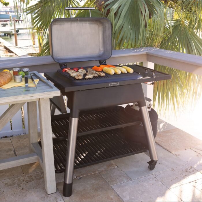 Everdure-Force-By-Heston-Blumenthal-Freestanding-2-Burner-Gas-Grill-With-Cover-Propane-10