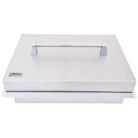 LionDoubleSideBurner1