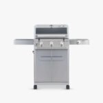Mesa 305 | Stainless Propane Gas Grill