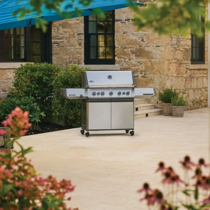 P665VRSIBNSS-Web-Gallery-12-Original_JPG-Prestige_P665VXRSIBPSS_Non-Connected_Life-Ang