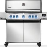 Napoleon Prestige 665 Connected RSIB