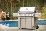 Napoleon Prestige Pro 665 RSIB - Image 5