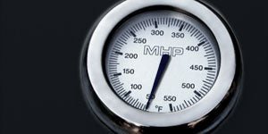 Phoenix-Fabricated-Freestanding-Gas-Grill-SDRIVDDN-2 Phoenix-Fabricated-Freestanding-Gas-Grill-SDRIVDDN-2