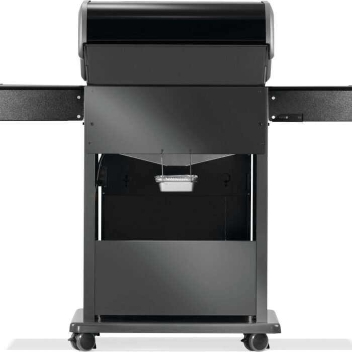 R425SBNK-2-FB-Web-Gallery-07-Original_JPG-Rogue-R425SBPK-2-FB-Prod-Str-Back