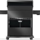 RP525SIBNK-2-Web-Gallery-08-Original_JPG-Rogue-RP525SIBPK-2-Prod-Str-Back