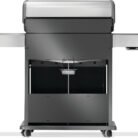 RP525SIBNSS-2-Web-Gallery-06-Original_JPG-Rogue-RP525SIBPSS-2-Prod-Str-Back