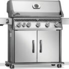 RP625SIBNSS-2-Web-Gallery-03-Original_JPG-Rogue-RP625SIBPSS-2-Prod-Ang-Rgt