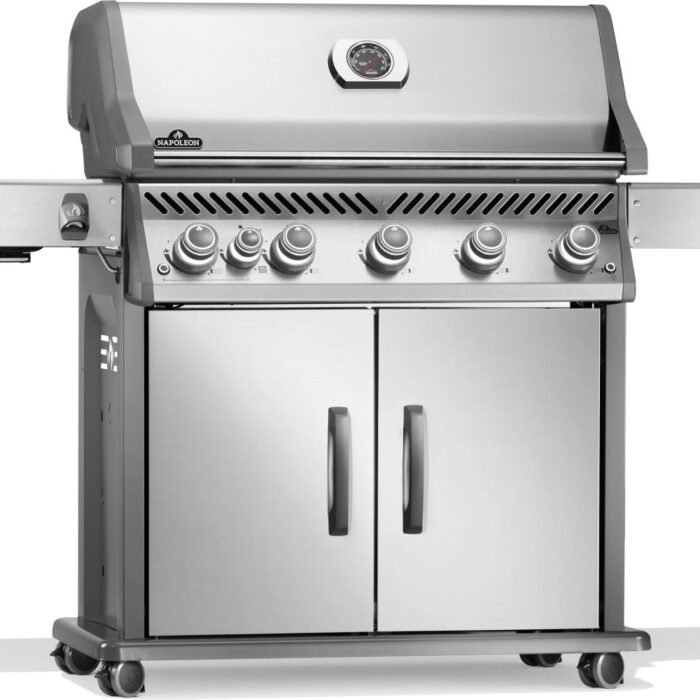 RP625SIBNSS-2-Web-Gallery-03-Original_JPG-Rogue-RP625SIBPSS-2-Prod-Ang-Rgt