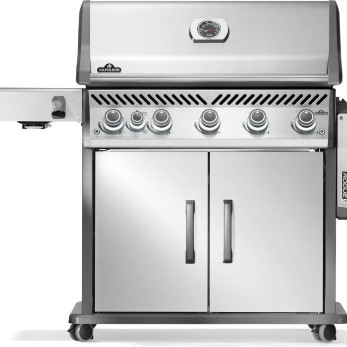 RP625SIBNSS-2-Web-Gallery-07-Original_JPG-Rogue-RP625RSIBPSS-2-Prod-Str-Antmy-Shf-Dwn