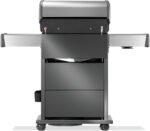Napoleon Rogue PRO-S 425 RSIB - Image 6