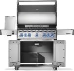 Napoleon Rogue PRO-S 625 RSIB - Image 5
