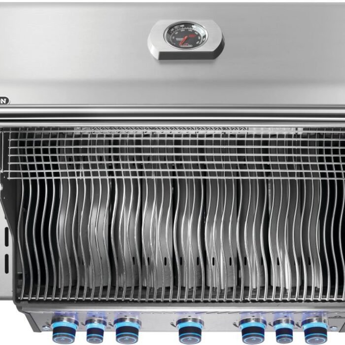 RPS625RSIBNSS-2-Web-Gallery-05-Original_JPG-Rogue-RPS625RSIBPSS-2-Prod-TopDown_SideBurner