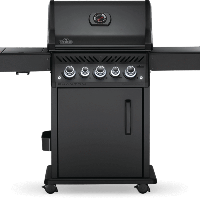 RSE425SIBMK-1PHM-Prod-Closed_Str-800px