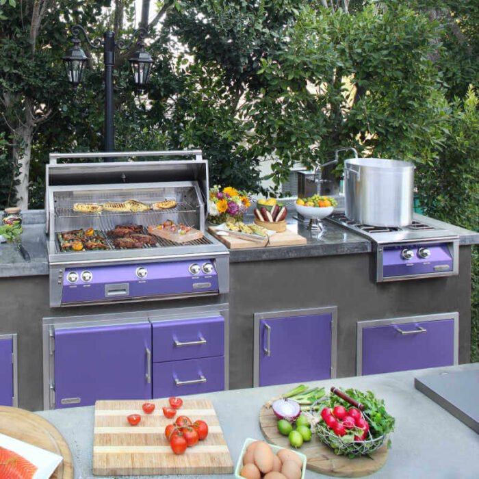alfresco-24-inch-gas-versa-power-cooking-system-flame-authority-37095444807724