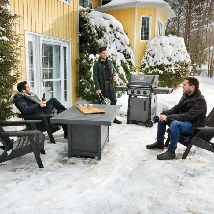 napoleon_F365DSBPGT-ECP_4