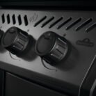 napoleon_F365DSBPGT-ECP_5