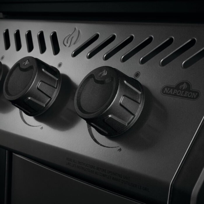 napoleon_F365DSBPGT-ECP_5