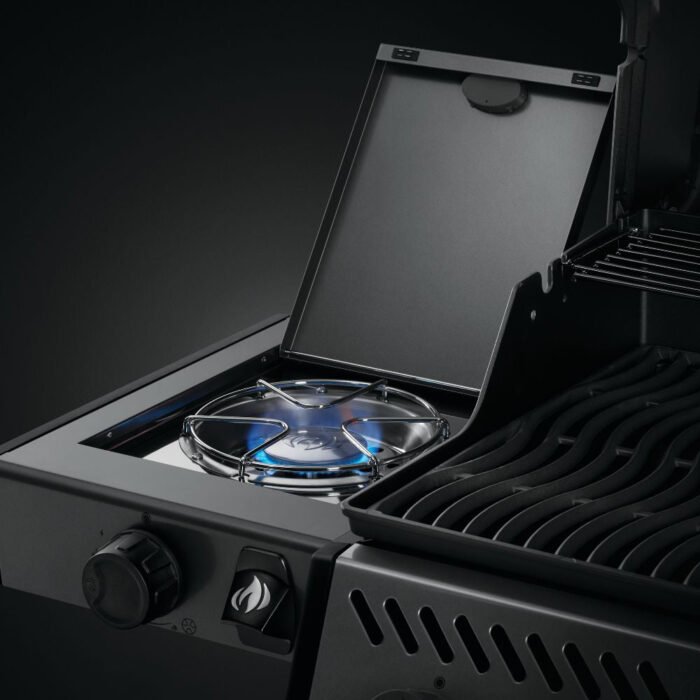 napoleon_F365DSBPGT-ECP_6