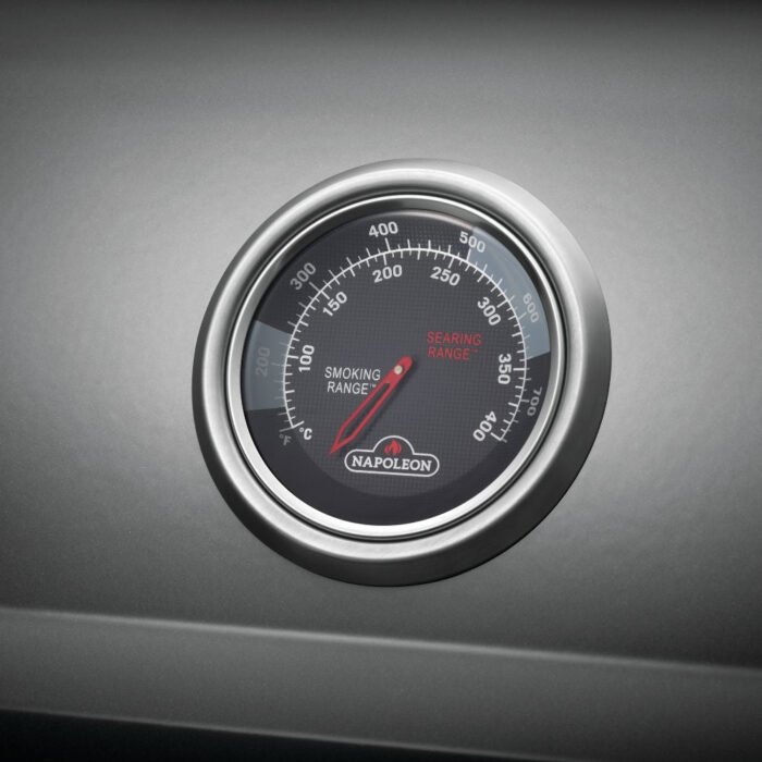 napoleon_F365DSBPGT-ECP_7