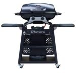Sahara Storm 2 Burner Gas BBQ