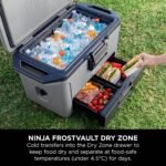 Ninja FrostVault 47L Hard Cooler with Dry Zone – Slate Grey - FB151UKGY - Image 3